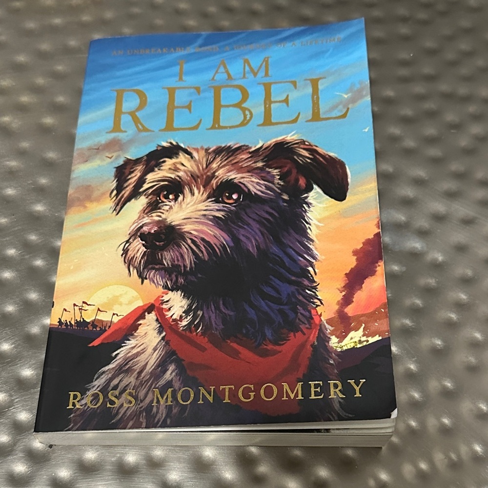 I Am Rebel Book by Ross Montgomery paperback